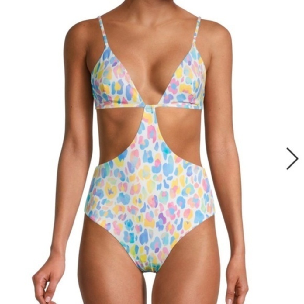 ONIA Rose One-Piece Swimsuit colorful